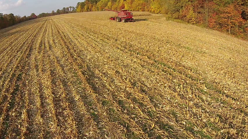 Aerial Footage Of Corn Field Harvest On A Late Fall Evening In Illinois