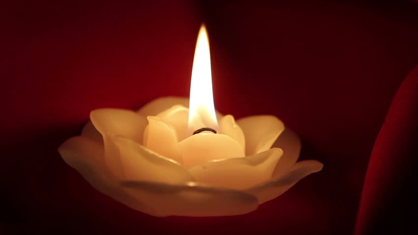 candle in the darkness A candle in the darkness we all understand the concept of lighting a candle in the darkness a candle will always light up a dark room just as love always wins over hate. candle in the darkness A candle in the darkness we all understand the concept of lighting a candle in the darkness a candle will always light up a dark room just as love always wins over hate.