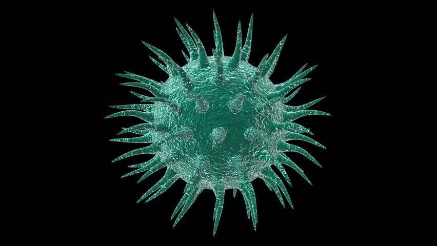 VIRUS VIDEOS virus videos:
