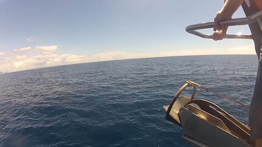 Dolphins Starting To Swim In Front Of The Bow Of A Ship Stock Footage 