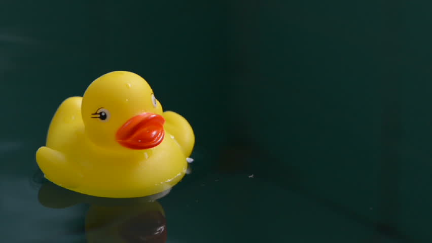 rubber duck floaty