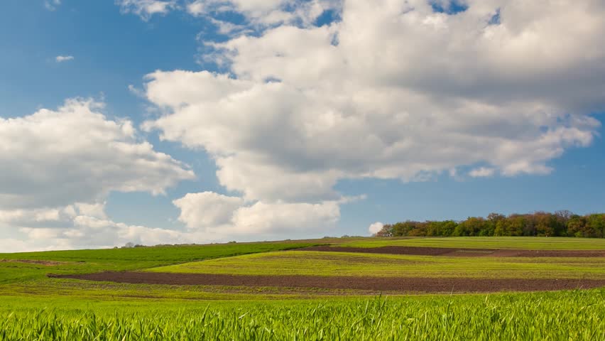 Time Lapse Clip HD Video High Definition Sunny Day In The Field 