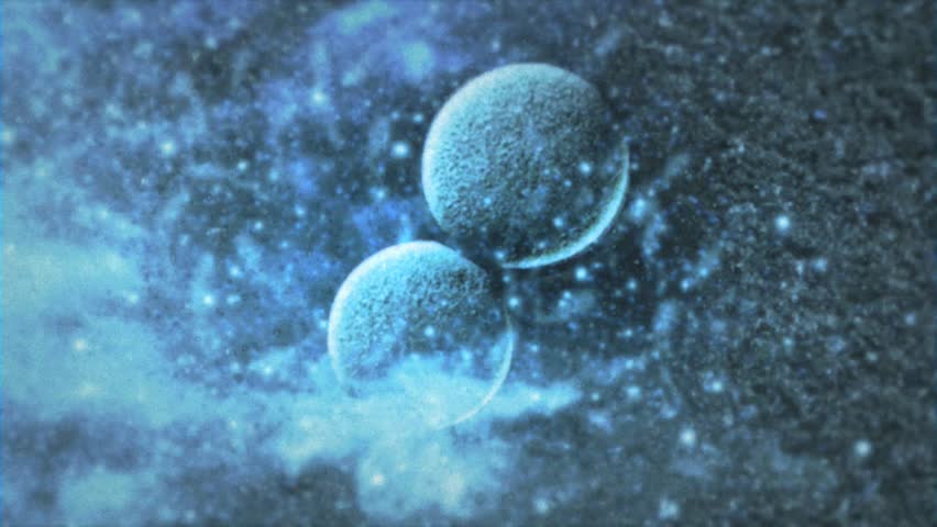 what cells are dividing in adults adult bondage