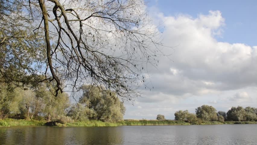 Backwater Of Oder River, Lower Oder Valley National Park, Germany Stock