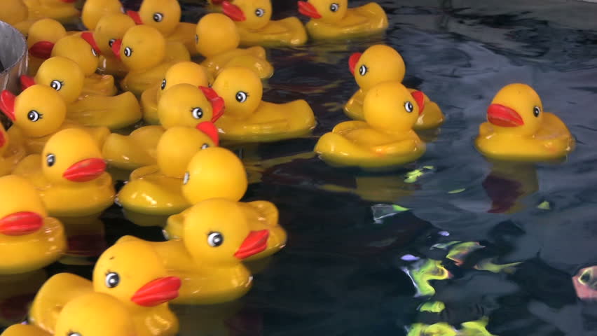 A Crazy Collection Of Rubber Duckies Floating In Water Stock Footage Video 517276 Shutterstock 8522