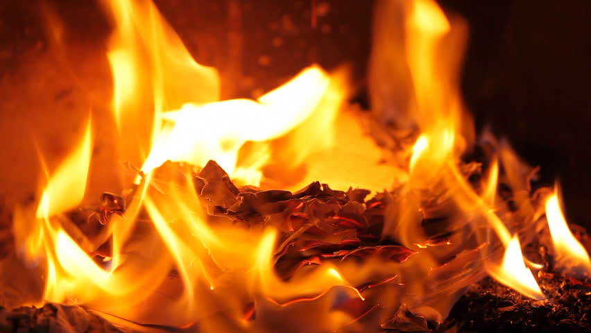 Essay about point of view barn burning