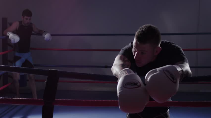 Mixed Martial Arts Quebec