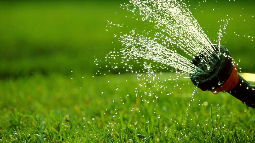 grass water spray