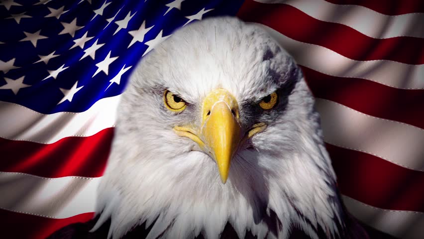 American Flag Eagle Eyes â This Video Features An Eagle With Radiant ...