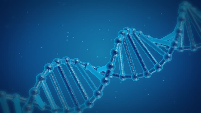 DNA Chain Rotates On A Blue Background. Genetic Engineering Scientific ...