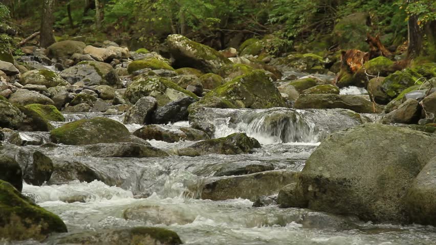 Stormy Forest River Flowing Over Stones Stock Footage Video 11885420 ...