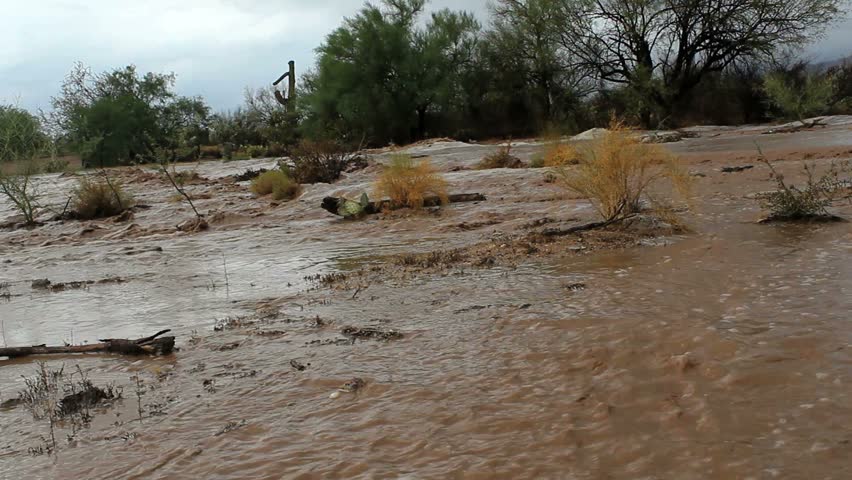 Monsoon Rains Cause Flooding, Sweep Across Arizona Desert Landscape ...