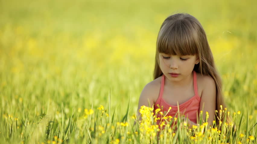 Little Girl Sitting In Field With Bunch Of Flowers Stock Footage Video ...