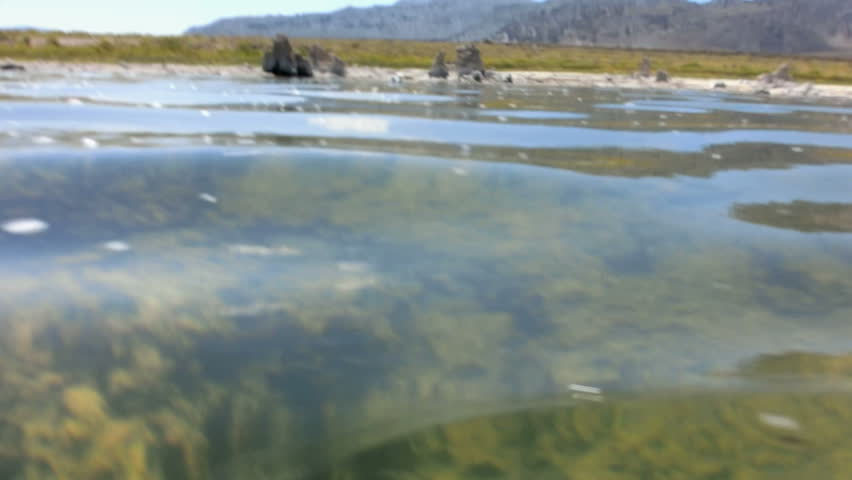 Mono Lake 240fps Underwater 03 Slow Motion Canoeing Legs In Water Brine ...