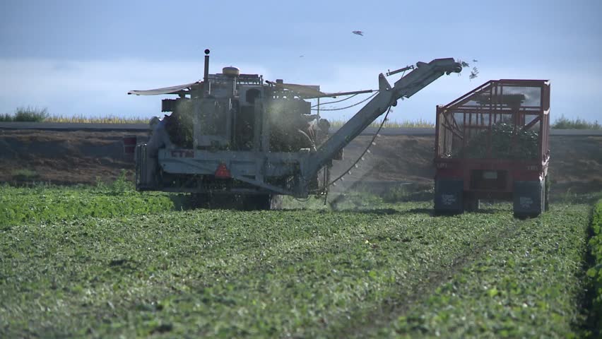 FARMING AGRICULTURE MACHINERY HARVESTING CROPS PRODUCE ON FARM IN ...