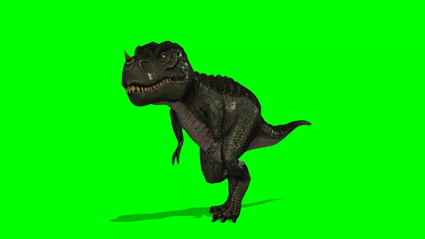 Dinosaur Tyrannosaurus T-Rex Walks - Green Screen Stock Footage Video ...