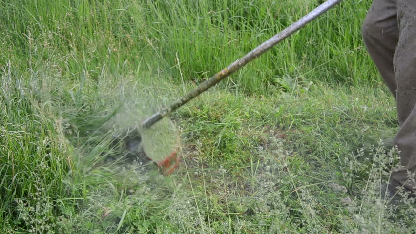 Closeup Man Worker With Trimmer Mow Cuts Meadow Grass After Rain. Water ...