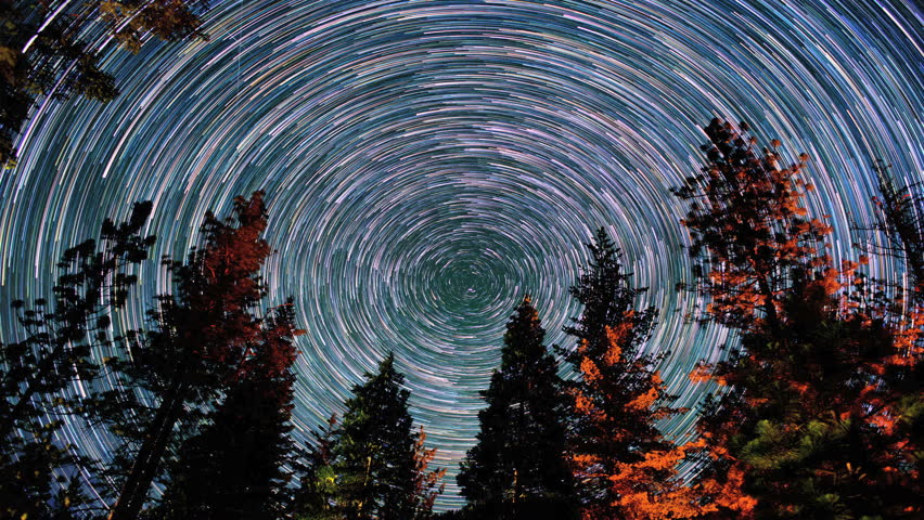 Incredible Polaris North Star Trails Night Sky Timelapse Over Pine ...