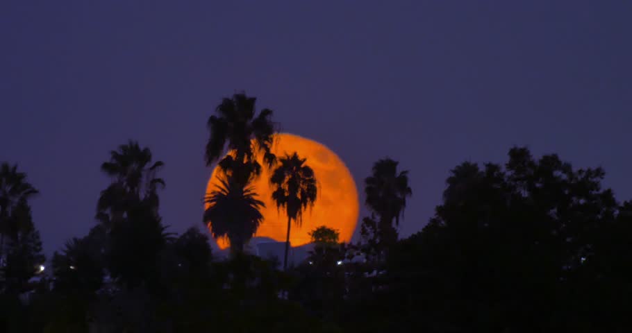 Full Moon Aka Supermoon Rising Above Downtown Los Angeles Skyline At ...