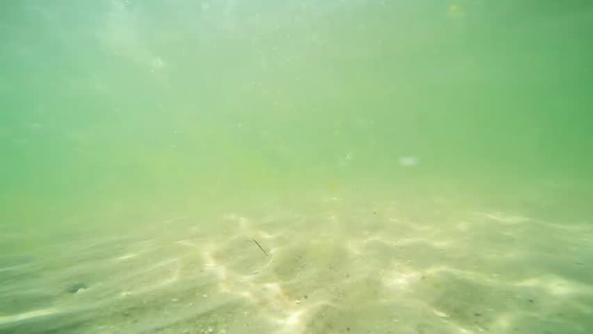 Dirty Underwater Surface Stock Footage Video 4080169 - Shutterstock